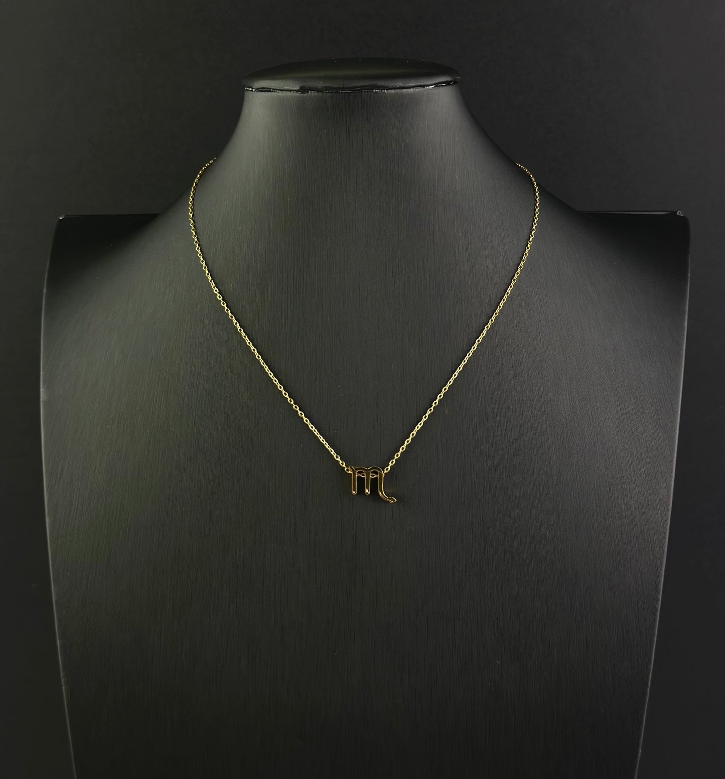 Zodiac Signs Necklace