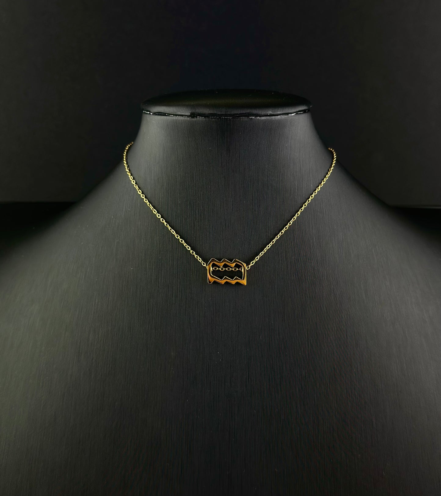 Zodiac Signs Necklace