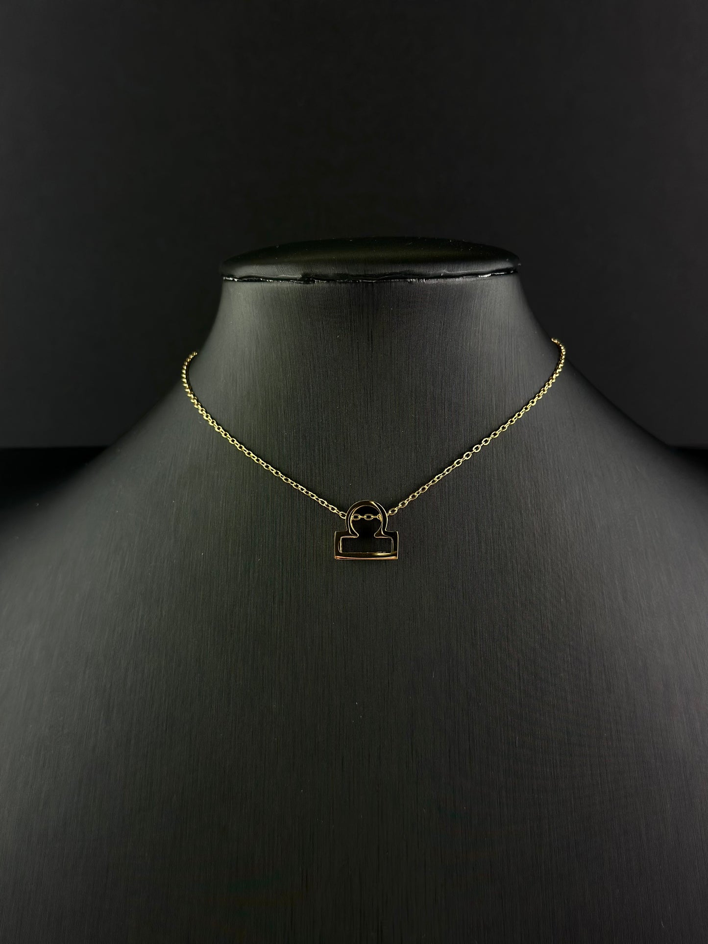 Zodiac Signs Necklace
