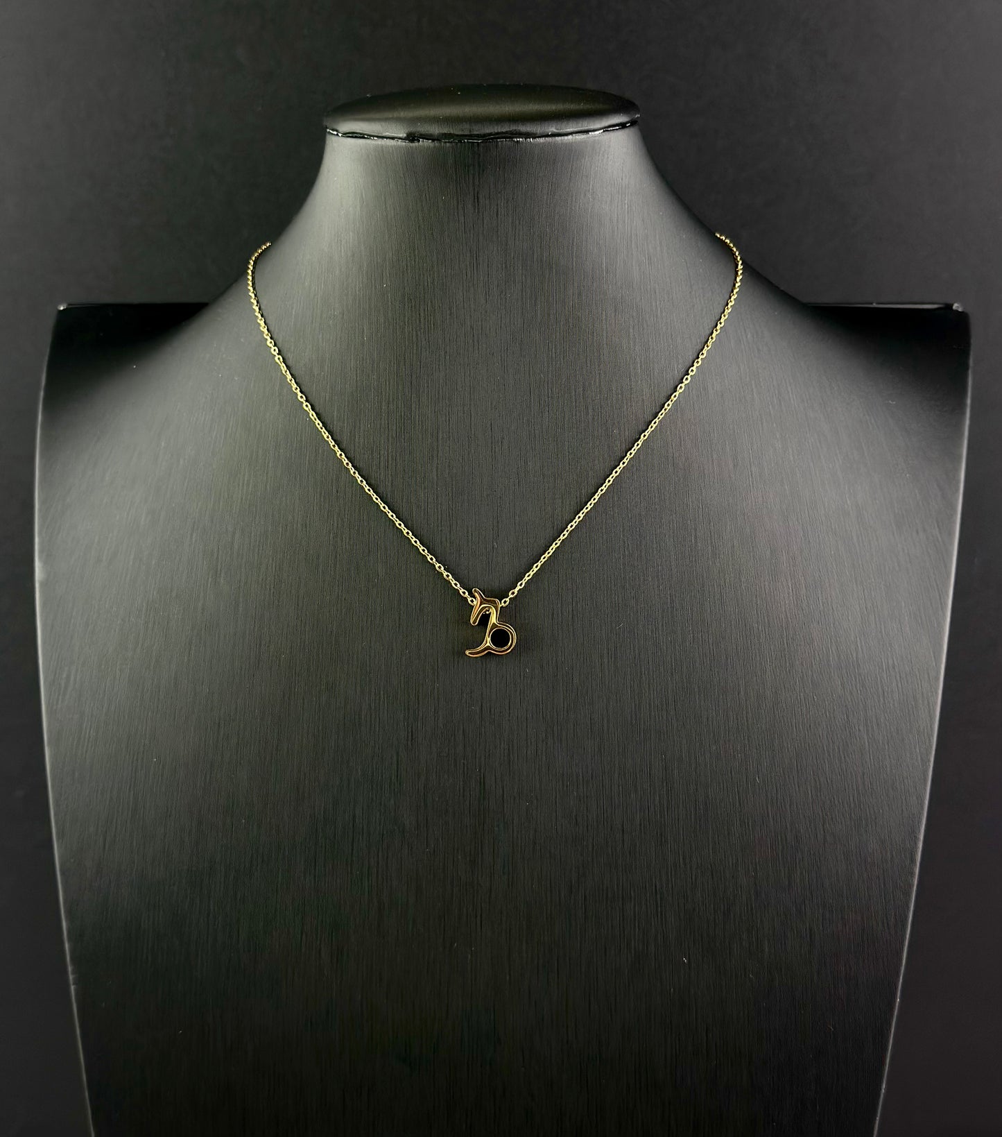Zodiac Signs Necklace