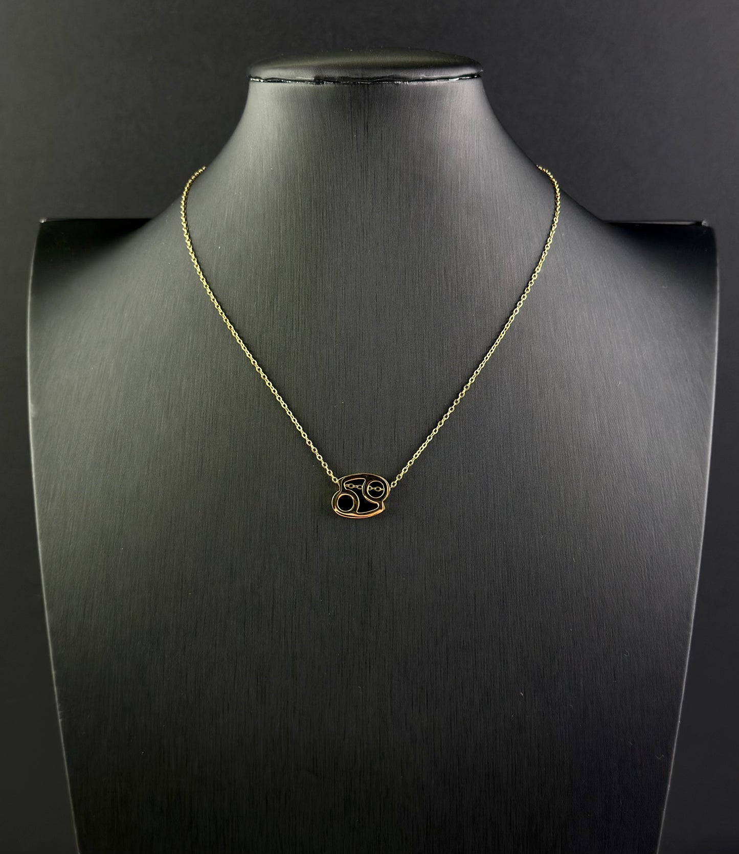 Zodiac Signs Necklace