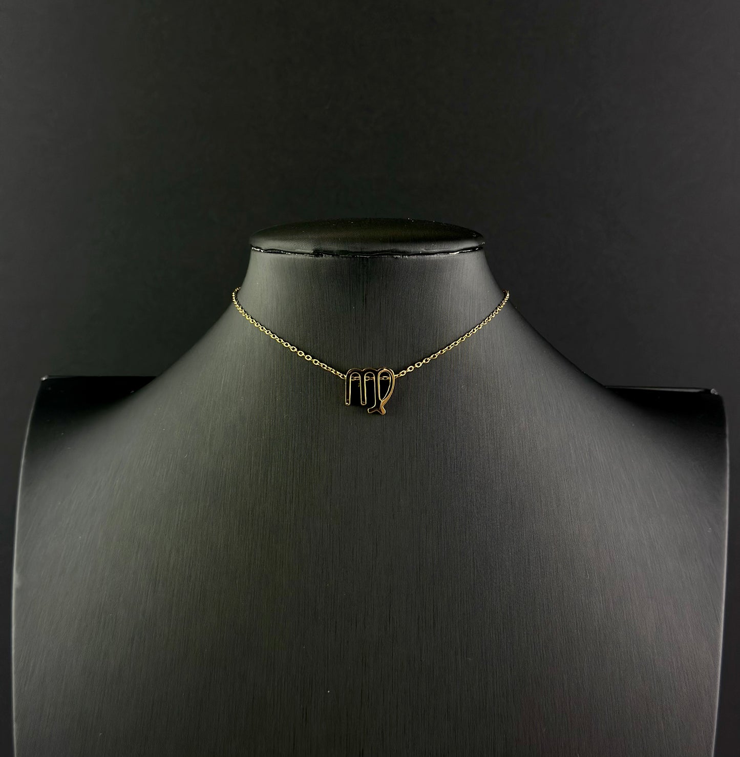 Zodiac Signs Necklace