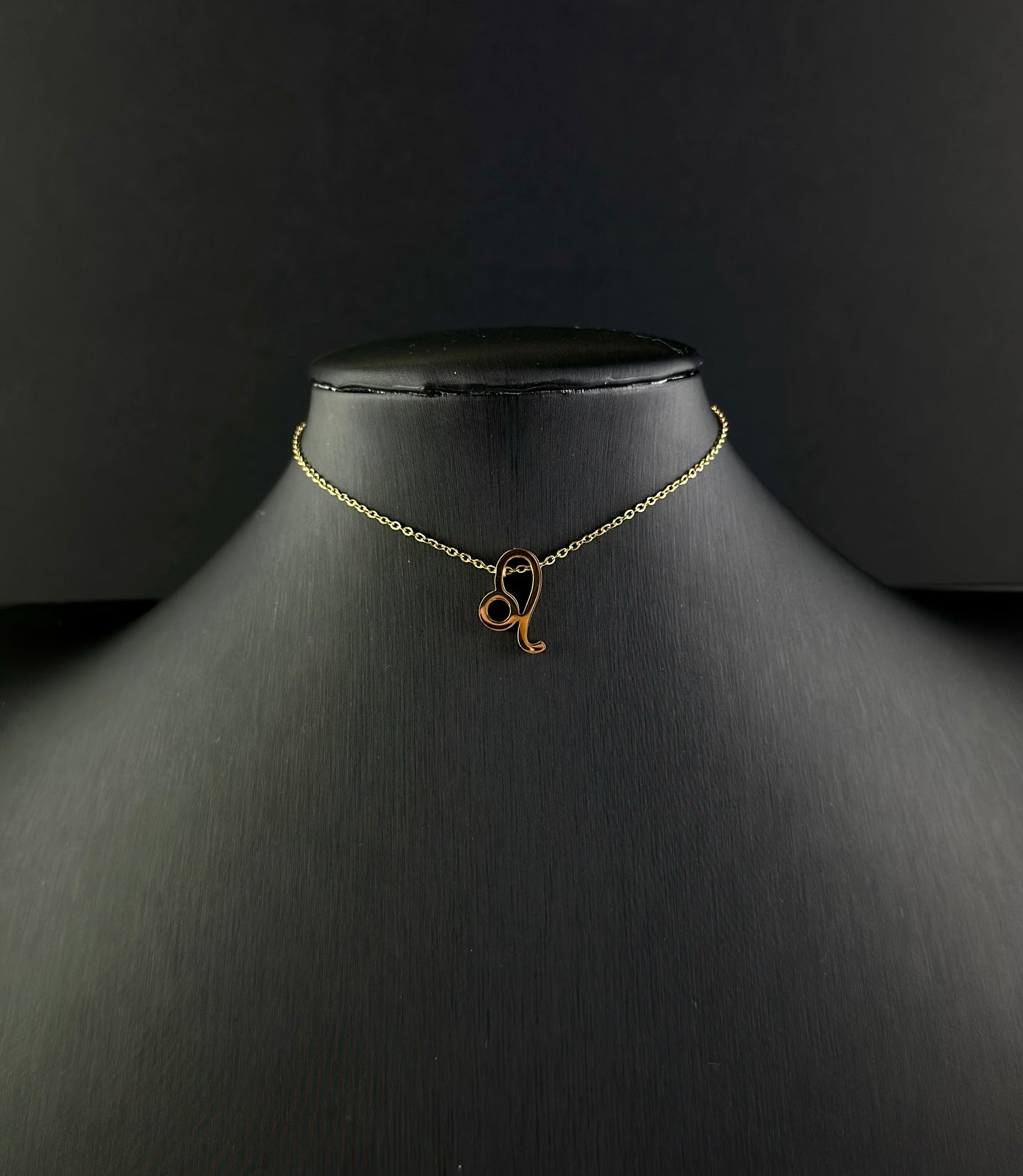 Zodiac Signs Necklace