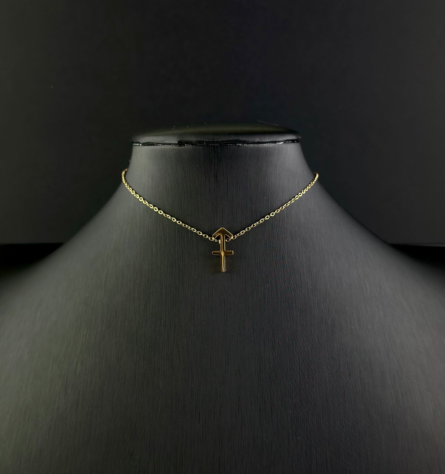 Zodiac Signs Necklace
