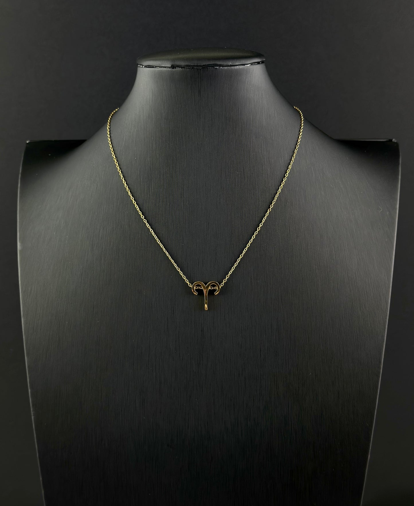 Zodiac Signs Necklace