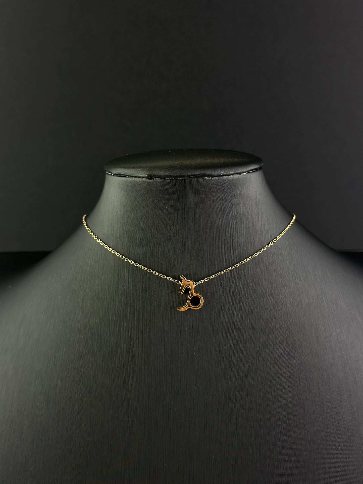 Zodiac Signs Necklace